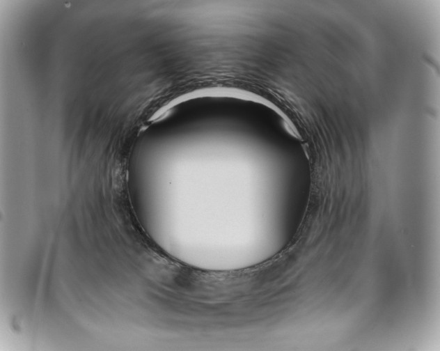 X0000096150037200802081422