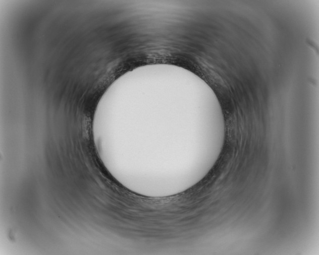 X0000096150038200802081422