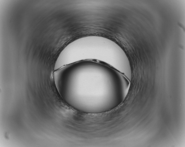 X0000096150041200802081422