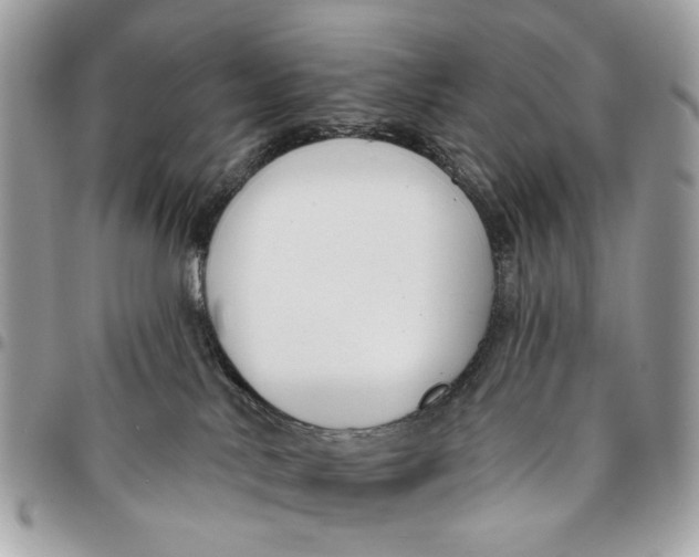 X0000096150042200802081422