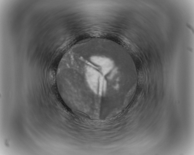 X0000096150043200802081421