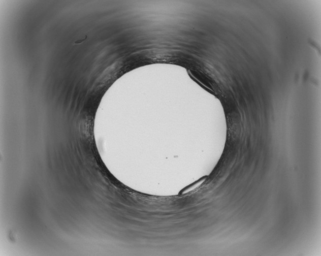 X0000096150044200802081421