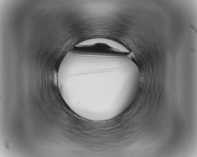 X0000096150046200802081421