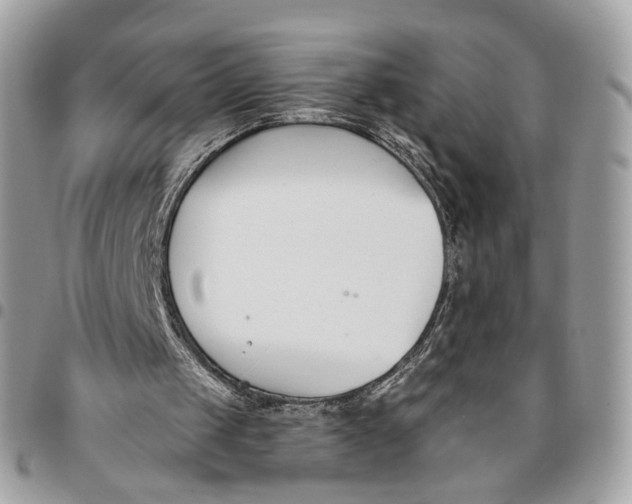 X0000096150049200802081421