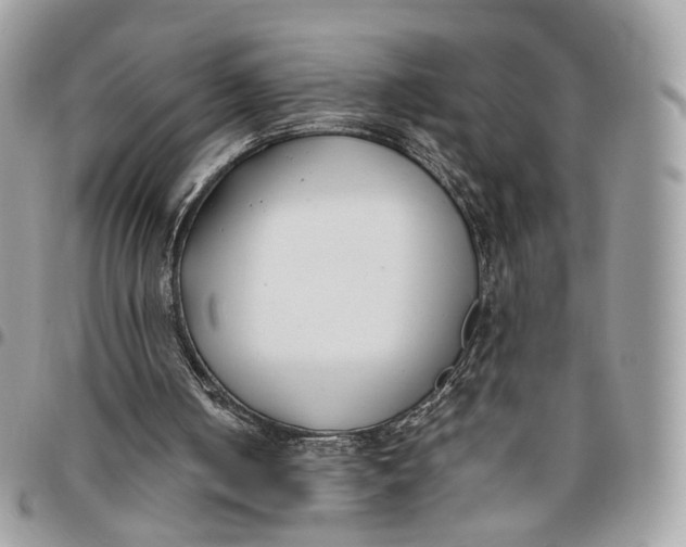 X0000096150050200802081421