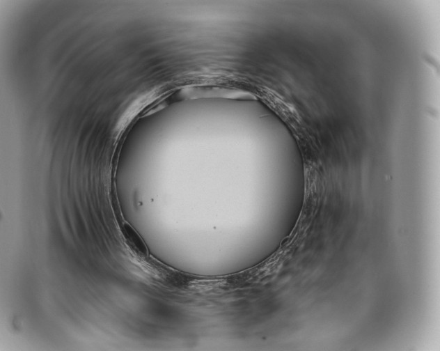 X0000096150051200802081421