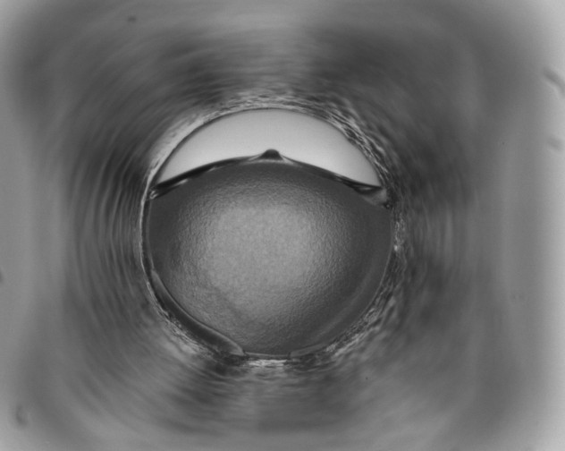 X0000096150052200802081421