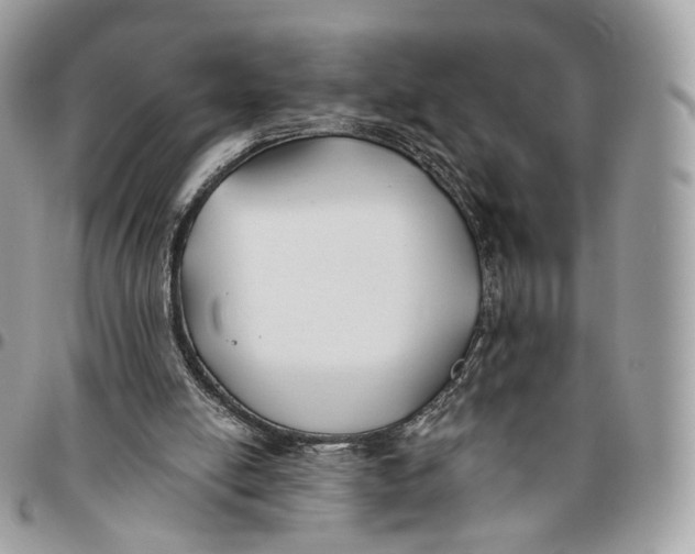 X0000096150054200802081421