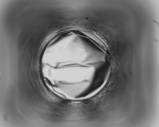 X0000096150055200802081421