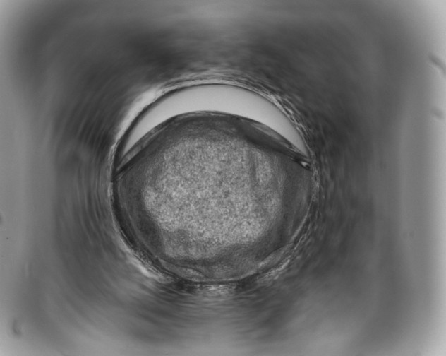 X0000096150056200802081421