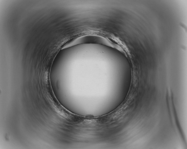 X0000096150057200802081421