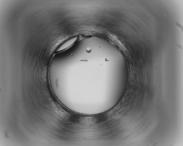 X0000096150058200802081421