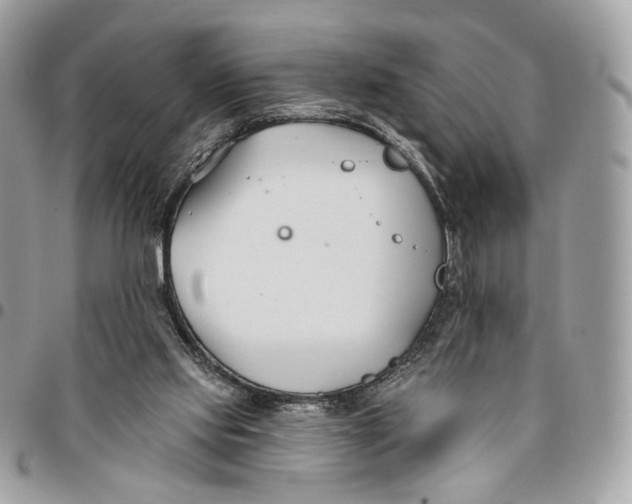 X0000096150061200802081421