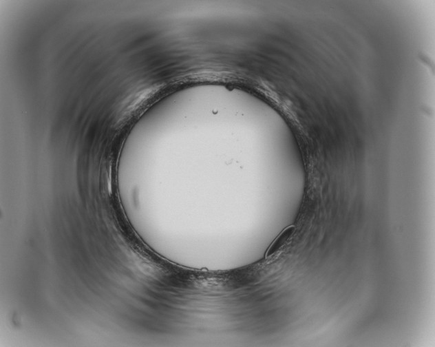 X0000096150062200802081421