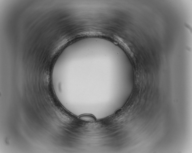 X0000096150063200802081421