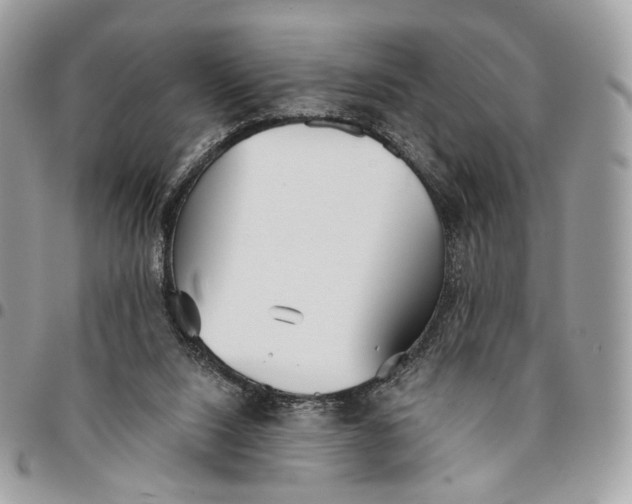 X0000096150064200802081421