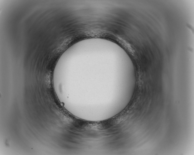 X0000096150065200802081421