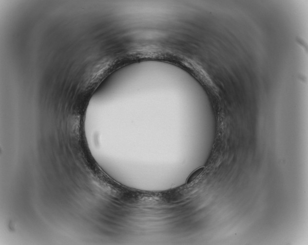 X0000096150066200802081421