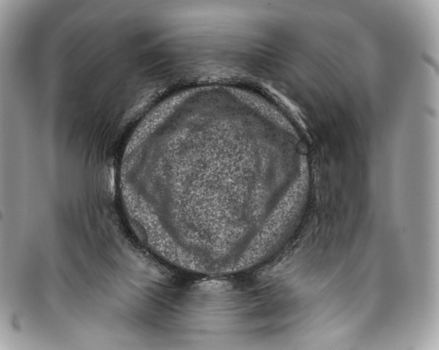 X0000096150067200802081421