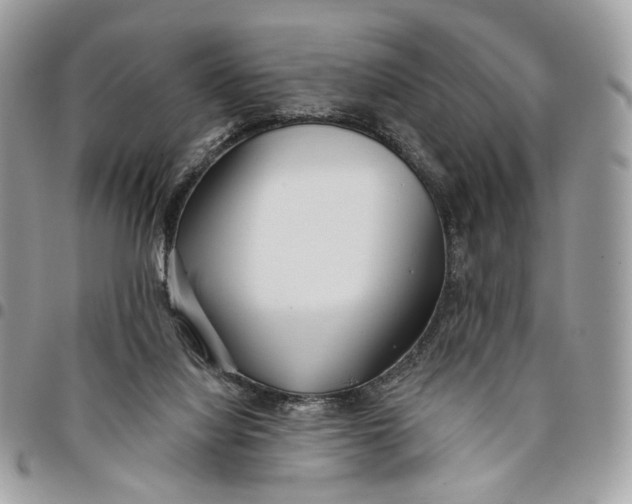 X0000096150068200802081421