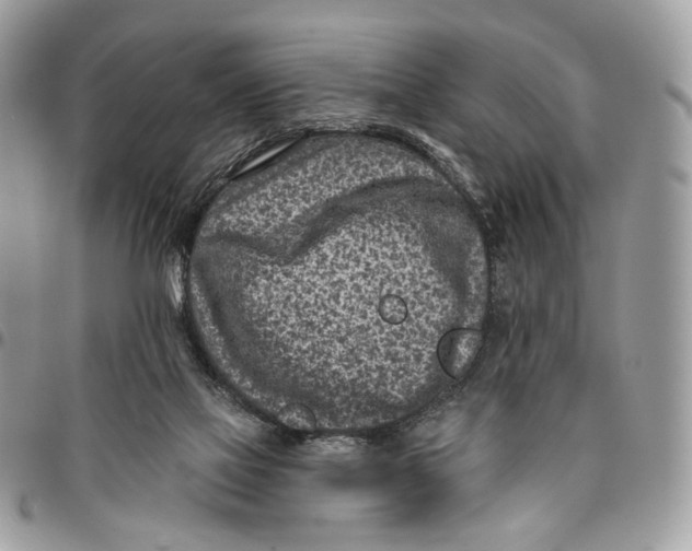 X0000096150069200802081421