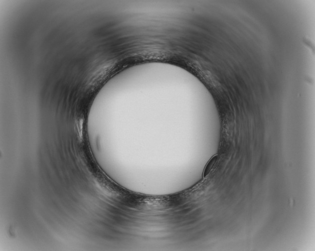 X0000096150070200802081421