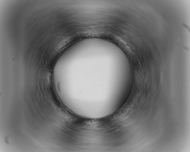 X0000096150071200802081421