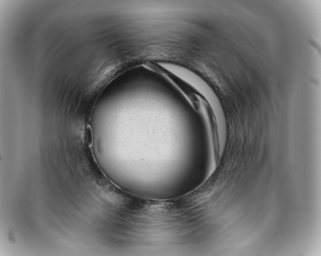 X0000096150072200802081421