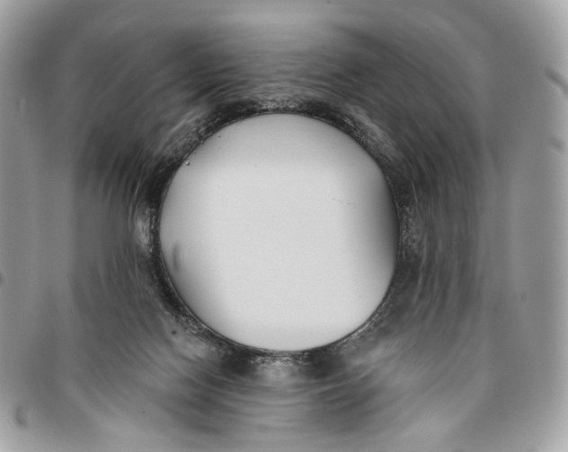 X0000096150074200802081421