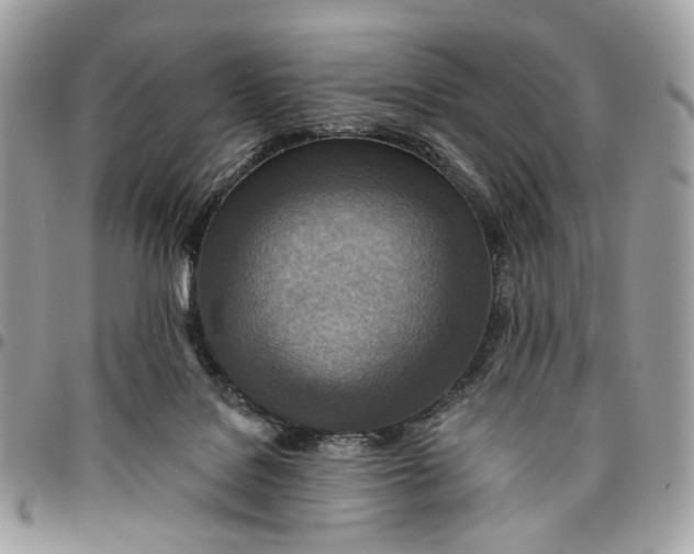 X0000096150076200802081421