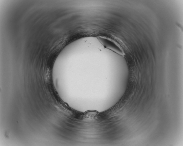 X0000096150077200802081421