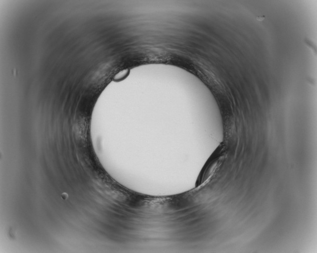 X0000096150078200802081421