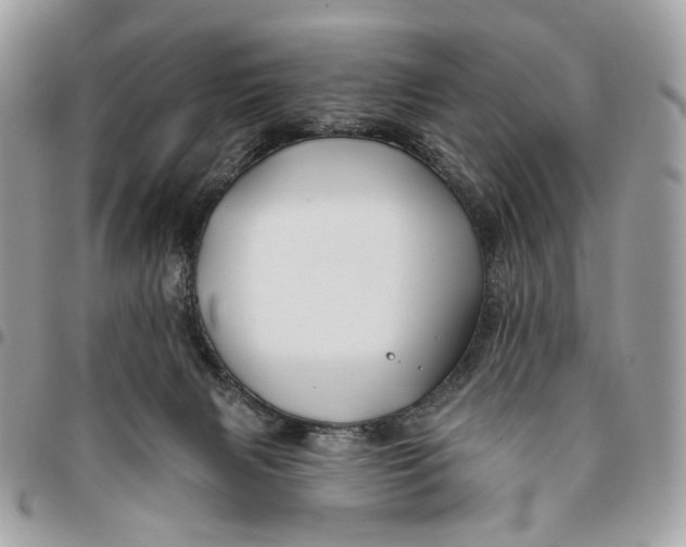 X0000096150079200802081421