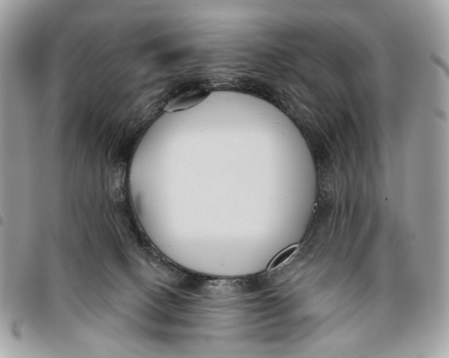 X0000096150082200802081421