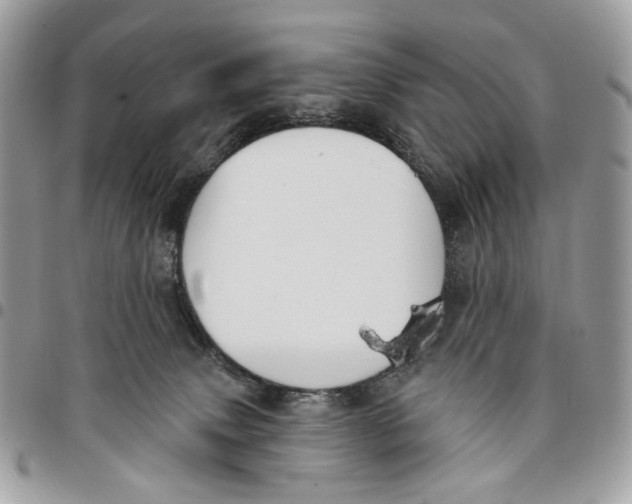 X0000096150083200802081421