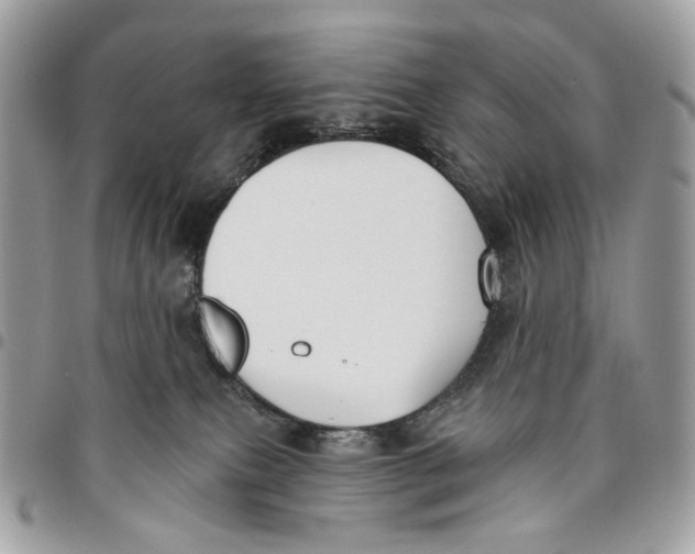 X0000096150087200802081421