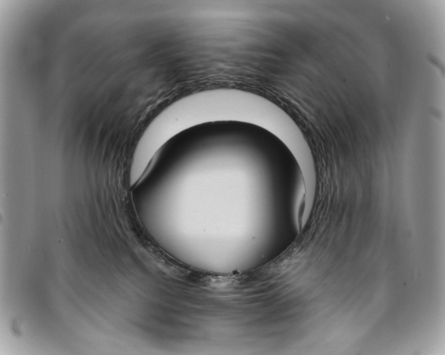 X0000096150088200802081421