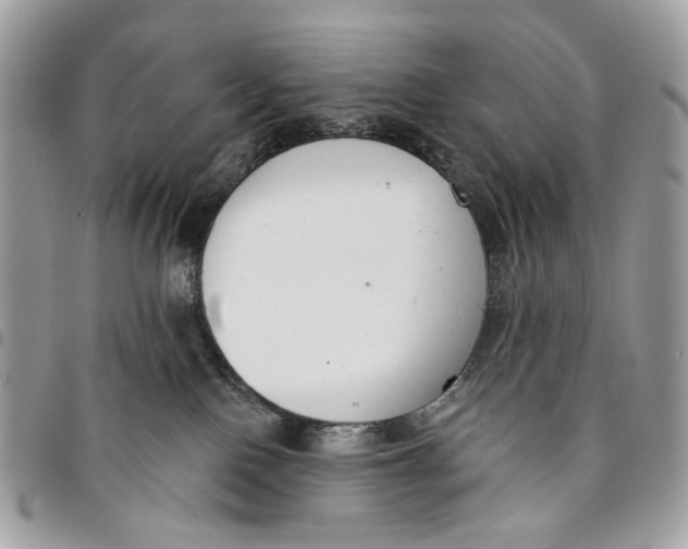 X0000096150090200802081421