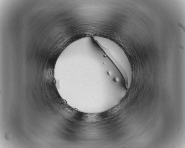 X0000096150093200802081421