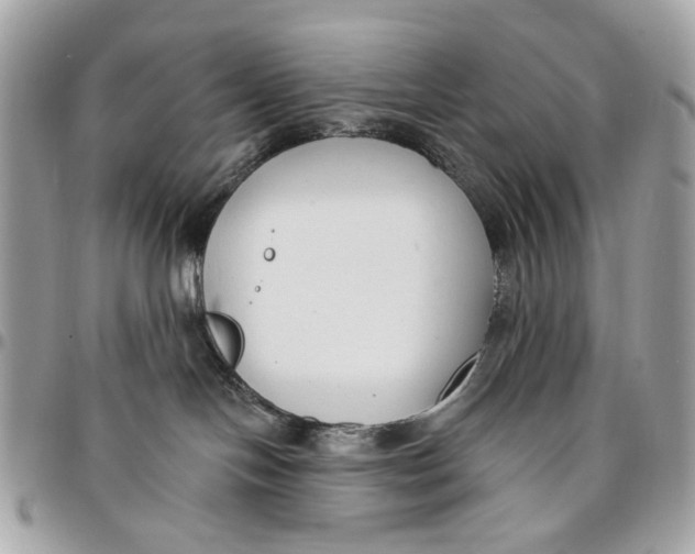 X0000096150094200802081421