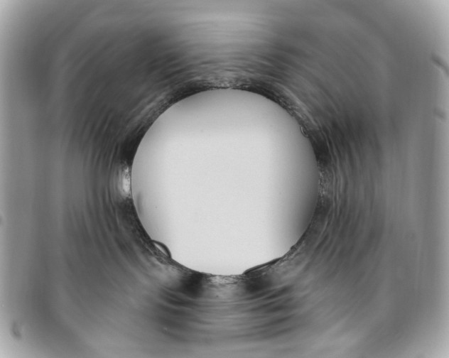 X0000096150095200802081421