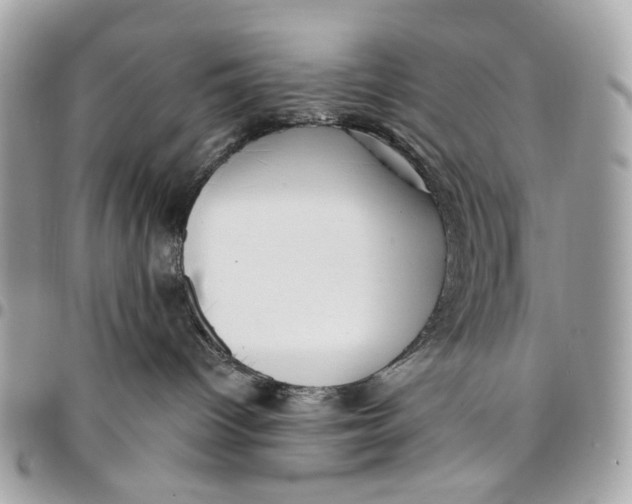 X0000096150096200802081421