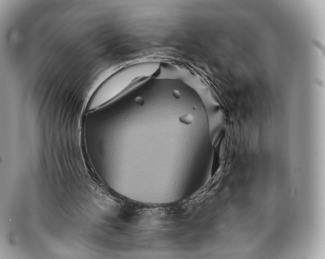 X0000096150100200802081421