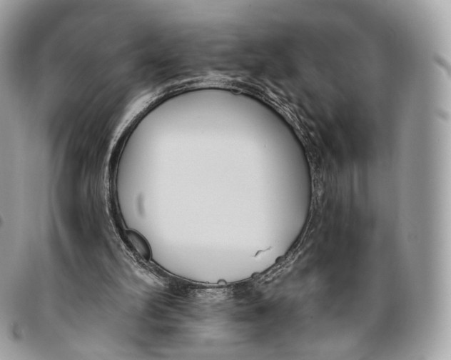 X0000096150102200802081421