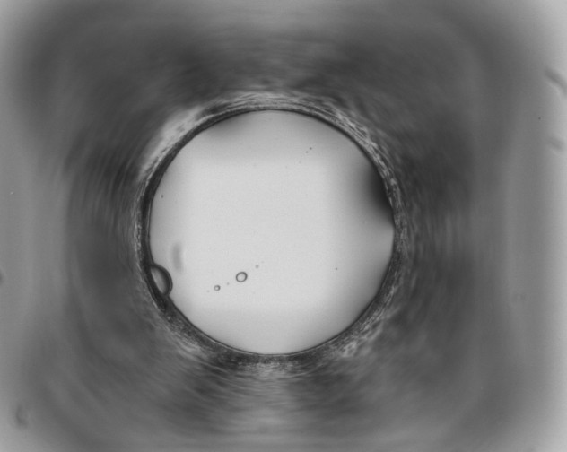 X0000096150103200802081421