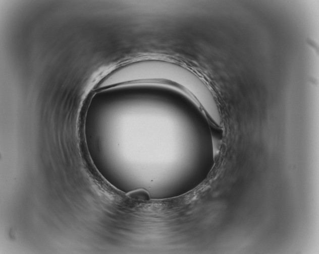 X0000096150104200802081421