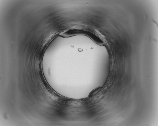 X0000096150106200802081421