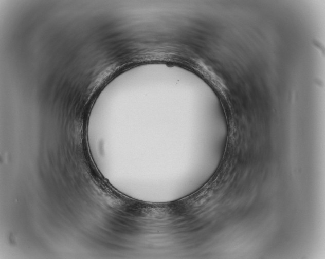 X0000096150107200802081421