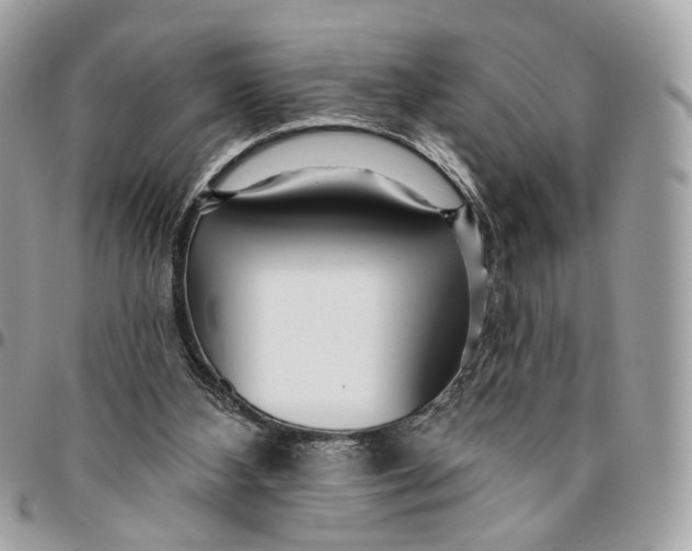 X0000096150108200802081421