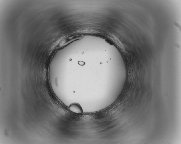 X0000096150111200802081421